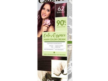 Color Essence krem koloryzujący do włosów 6.2 Burgundy 75g Sale