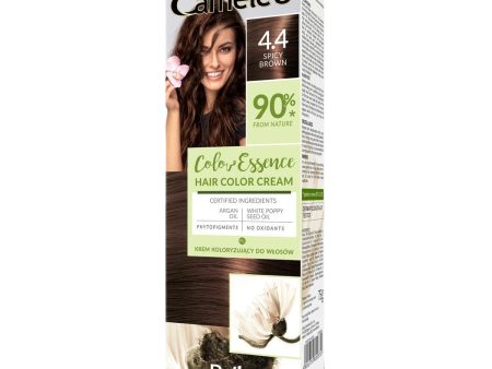 Color Essence krem koloryzujący do włosów 4.4 Spicy Brown 75g For Cheap